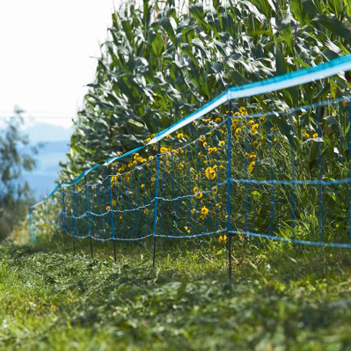 Pastuch Na Dziki Trzymaj Dzika Z Daleka Kellfri